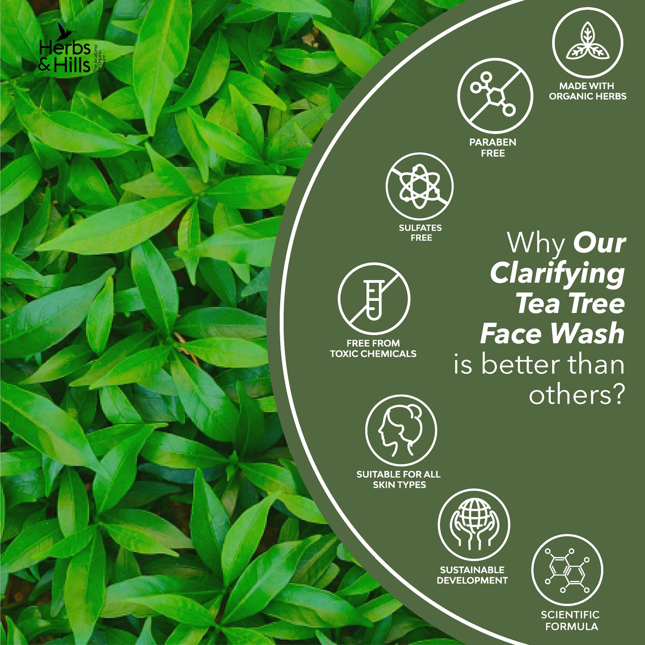 Herbs & Hills Clarifying Tea Tree Face Wash 100ml Anti Acne, Organic & Natural | Help to Clear Excess Oil | Remove Impurities and Prevent Pimples | Relieving Skin Irritation