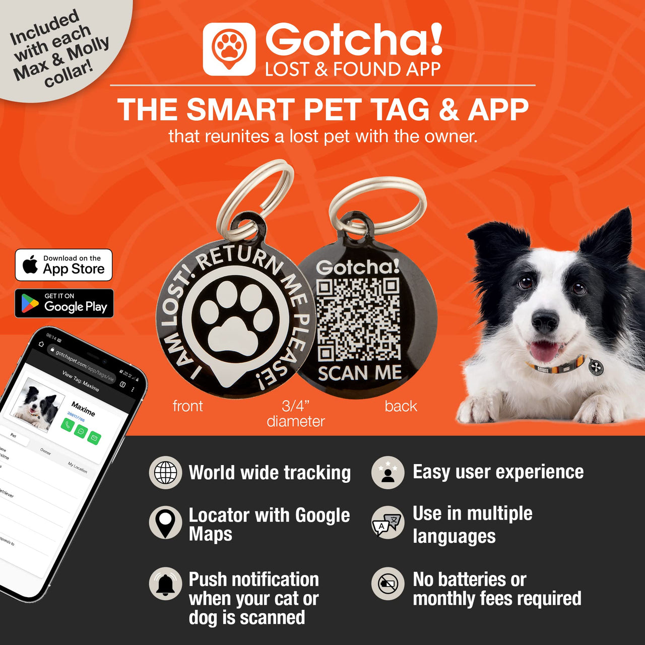 Max & Molly Soft Padded Neoprene Dog Collar w/Smart ID Gotcha! QR Pet Safety Tag, Durable, Waterproof, Anti-Stink, Machine Washable Collar for Dogs, Chevron Green Pattern, L Vintage Green L (15-25")