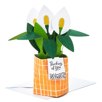Hallmark Paper Wonder Pop Up Card (Potted Peace Lily) for Mother's  Day, Birthday, Administrative Professionals Day, Nurses Day, Thinking of You, Congrats, Get Well, or Any Occasion