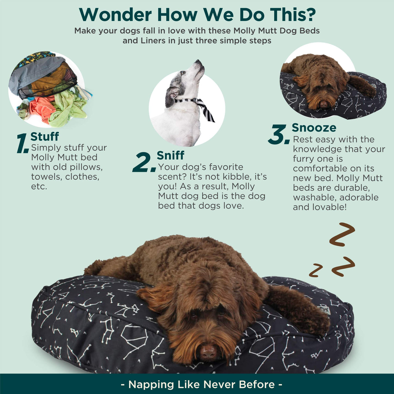 Molly Mutt Medium to Large Dog Bed Cover - Rocketman Print - Measures 27x36x5 - 100% Cotton - Durable - Breathable - Sustainable - Machine Washable Dog Bed Cover