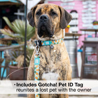 Max & Molly Soft Padded Neoprene Dog Collar w/Smart ID Gotcha! QR Pet Safety Tag, Durable, Waterproof, Anti-Stink, Machine Washable Collar for Dogs, Sweet Pineapples Pattern, L Sweet Pineapple L (15-25