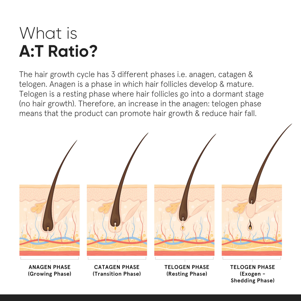 Minimalist Hair Growth Serum With 3% Redensyl, 3% Anagain, 3% Procapil, 5% Capixyl & 4% Baicapil 18% Hair Growth Actives | For Hair Fall Control | For Men & Women | 30 ml