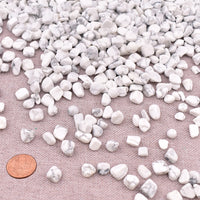 SigMntun Howlite Crystal Chips Bulk, Natural, 10 oz (283g) Healing Crystals for Reiki Chakra Meditation Energy Balancing Therapy, Tumbled Stones for Crafts Decorative Rocks for Planters 10 Oz - Howlite