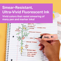 SHARPIE Highlighter, Clear View Highlighter with See-Through Chisel Tip, Tank Highlighter, Assorted, 12 Count 12 Count Assorted