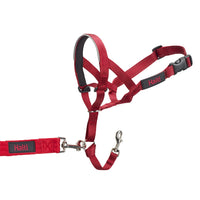 HALTI Headcollar - to Stop Your Dog Pulling on The Leash. Adjustable, Reflective and Lightweight, with Padded Nose Band. Dog Training Anti-Pull Collar for Large Dogs (Size 4, Red)