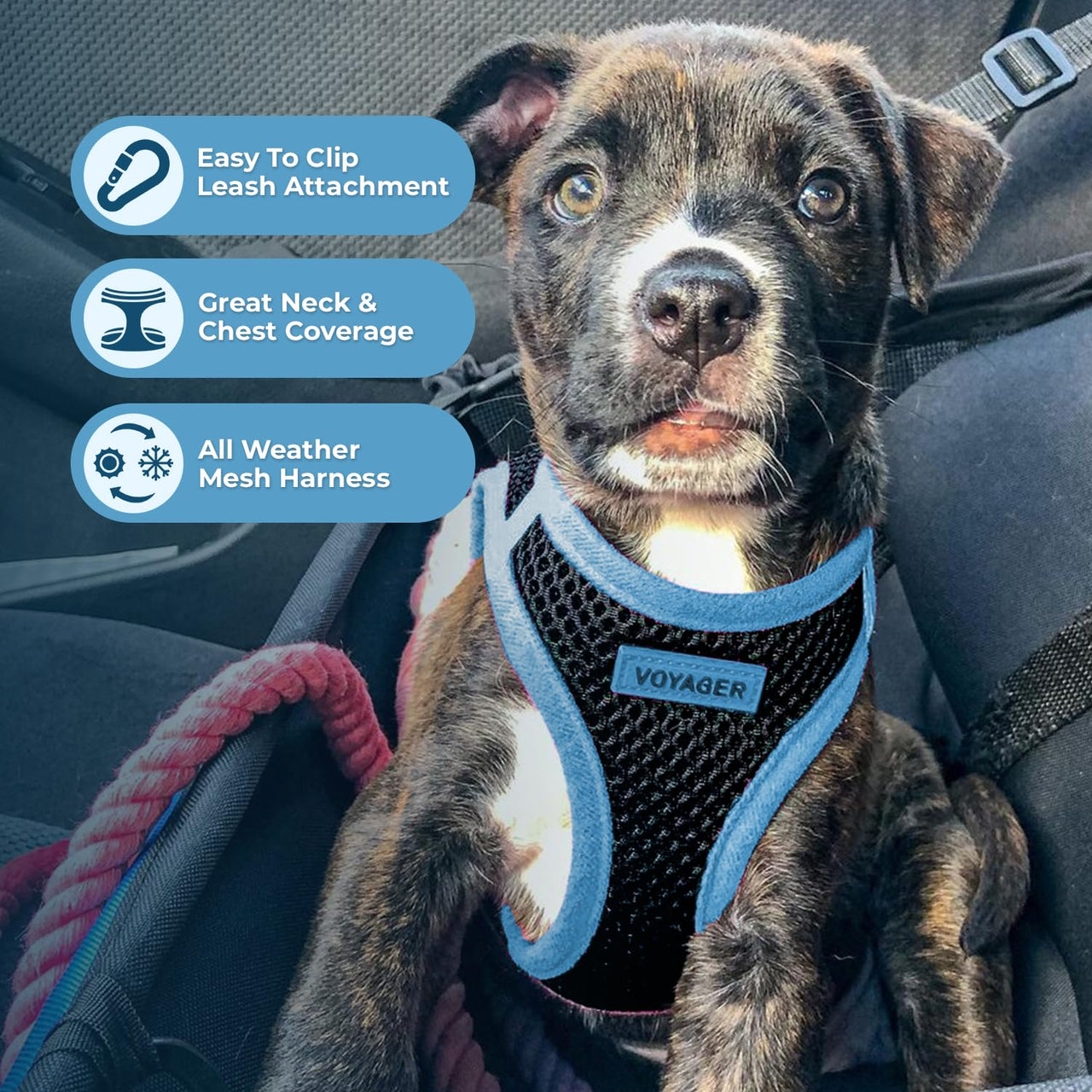 Voyager Step-In Air Dog Harness - All Weather Mesh Step in Vest Harness for Small and Medium Dogs by Best Pet Supplies - Blue Trim, Small S (Chest: 14.5 - 16") Harness (Blue Trim)