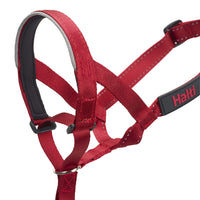 HALTI Headcollar - to Stop Your Dog Pulling on The Leash. Adjustable, Reflective and Lightweight, with Padded Nose Band. Dog Training Anti-Pull Collar for Large Dogs (Size 4, Red)