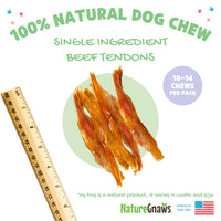 Nature Gnaws USA Beef Tendons for Dogs – Single Ingredient Natural Dental Chews - Long Lasting and Rawhide Free Dog Treats, 8.00 Ounce (Pack of 1)