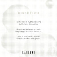 Kanpeki Balancing Cleanser Face Wash to Gently Brighten Skin | Cleanser for Dry to Normal & Sensitive | Reduces Hyperpigmentation | Provides Even Skin Tone | Japanese Skin Care Product