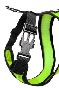 Gooby Comfort X Head In Harness - Green, Large - No Pull Small Dog Harness, Patented Choke-Free X Frame - Perfect on the Go Dog Harness for Medium Dogs No Pull or Small Dogs for Indoor and Outdoor Use Large Chest (17-22.5