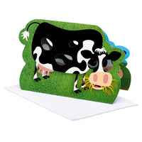 American Greetings Funny Birthday Card (Holy Cow) Holy Cow