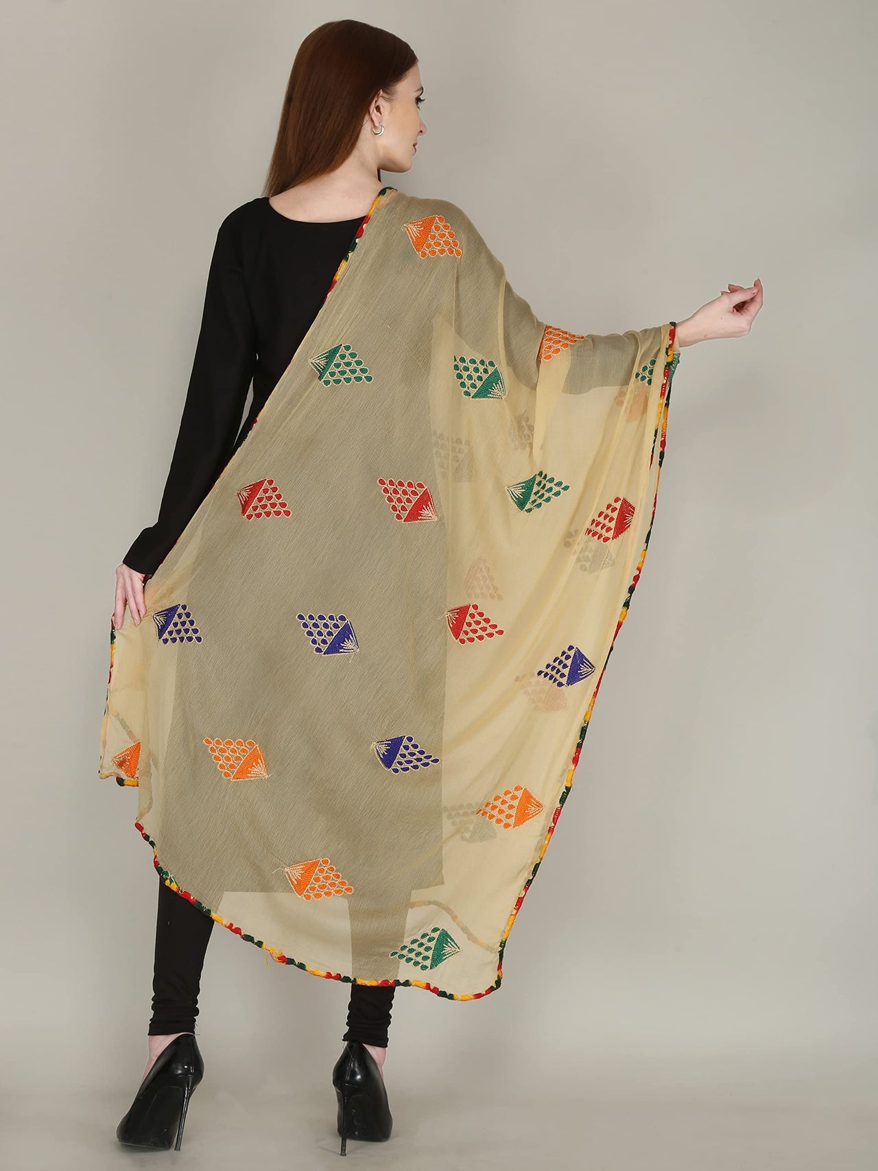 DIAMO Embroidered Chiffon Women's  Dupatta