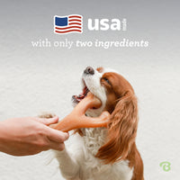 Benebone Wishbone Durable Dog Chew Toy for Aggressive Chewers, Made in USA, Giant, Real Bacon Flavor