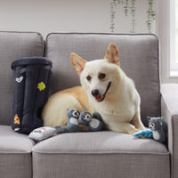 Outward Hound Hide A Raccoon Plush Dog Toy Puzzle