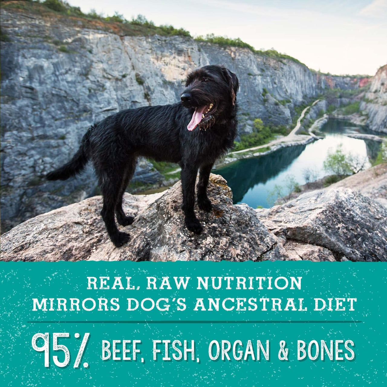 Stella & Chewy's  Freeze Dried Raw Surf & Turf Meal Mixer – Dog Food Topper for Small & Large Breeds – Grain Free, Protein Rich Recipe – 8 oz Bag Salmon & Beef 8 Ounce (Pack of 1)