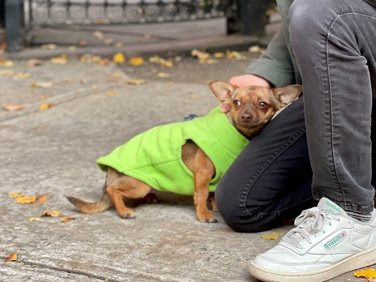 Gooby Zip Up Fleece Dog Sweater - Lime, X-Small - Warm Pullover Fleece Step-in Dog Jacket with Dual D Ring Leash - Winter Small Dog Sweater - Dog Clothes for Small Dogs Boy and Medium Dogs X-Small chest (~11")