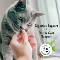 Shameless Pets Crunchy Cat Treats - Kitty Treats for Cats with Digestive Support, Natural Ingredients Kitten Treats with Real Ingredients, Healthy Flavored Feline Snacks - Variety Pack, 3-Pk Variety Pack - 3 Count 2.5 Ounce (Pack of 3)