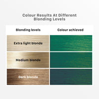 Streax Hair Colour Highlight Kit | Forest Green - Pack of 1 | Enriched With Walnut & Argan Oil | Rich, Vibrant, Easy to Use, DIY Application for Women