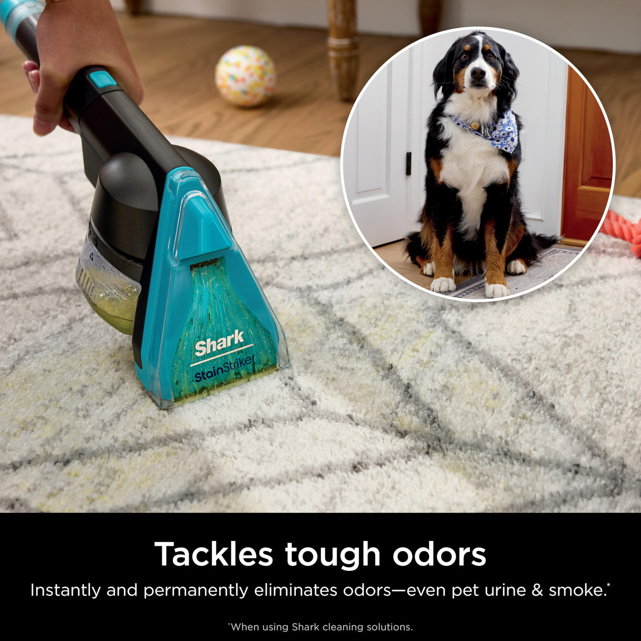 Shark EX201 CarpetXpert Upright Carpet, Area Rug & Upholstery Cleaner with StainStriker, Built-in Spot & Stain Cleaner, Perfect for Pets, Deep Cleaning & Tough Stain Removal, Carpet Shampooer, Cyan Shark CarpetXpert with StainStriker