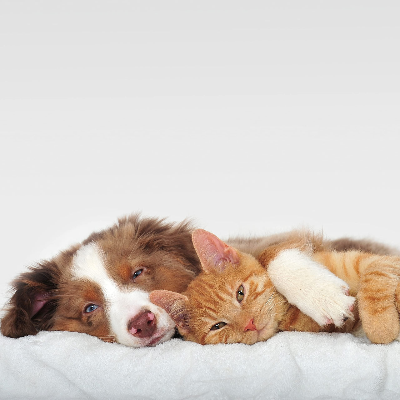 PETMAKER Dog Bed Replacement Cover ? Pet Duvet with Sherpa Top and Non-Slip Bottom, Gray Micro Suede -Dog Bed Washable Removable Cover (Small) 23.0"L x 8.0"W x 0.3"Th