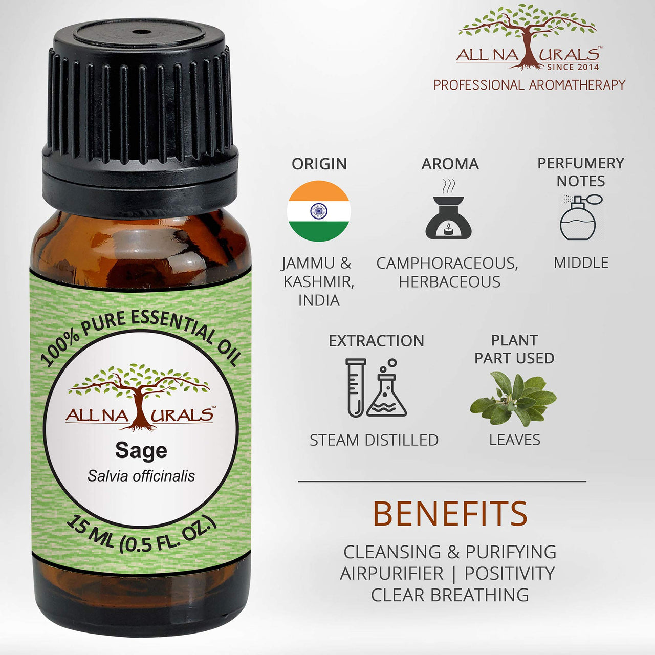 ALL NATURALS Sage Essential Oil 15ml (Kashmir) 100% Pure Undiluted for Aromatherapy, Vastu, Positivity & Clear Breathing