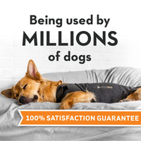 ThunderShirt for Dogs, XX Large, Heather Gray Classic - Dog Anxiety Vest Heather Grey XXL