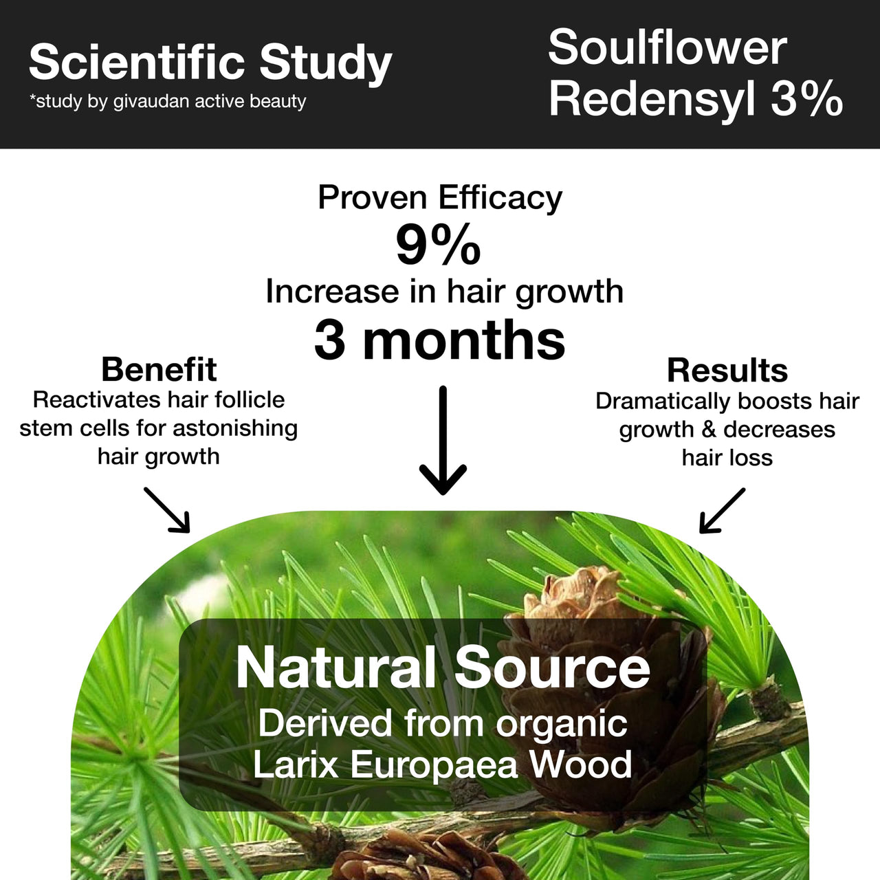 Soulflower Rosemary Essential Oil 15ml & Rosemary Redensyl Hair Growth Serum 30ml with 4% Anagain, 1% Melanogray, Caffeine, Biotin for Hair Growth, Hairfall Control & Healthy Scalp | Pack of 2