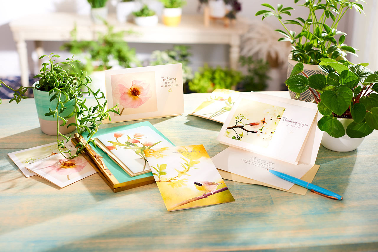 American Greetings Sympathy Cards Assortment with Envelopes, Floral (12-Count)