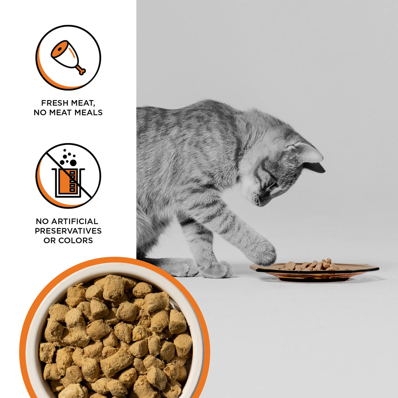 BIXBI Rawbble Freeze Dried Cat Food, Chicken Recipe, 10 oz - 95% Meat and Organs, No Fillers - Pantry-Friendly Raw Cat Food for Meal, Treat or Food Topper - USA Made in Small Batches