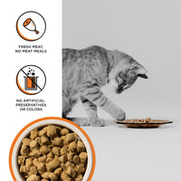 BIXBI Rawbble Freeze Dried Cat Food, Chicken Recipe, 10 oz - 95% Meat and Organs, No Fillers - Pantry-Friendly Raw Cat Food for Meal, Treat or Food Topper - USA Made in Small Batches