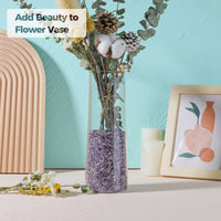 T4U Tumbled Chips Stones Crushed Crystal Quartz 2 LB, Irregular Shaped Gravels Pebble Healing Stones, DIY Smoothed Rock for Potted Plant,Resin Art,Vase Fillers Aquarium Gravel Rocks (Amethyst) #1 - Amethyst