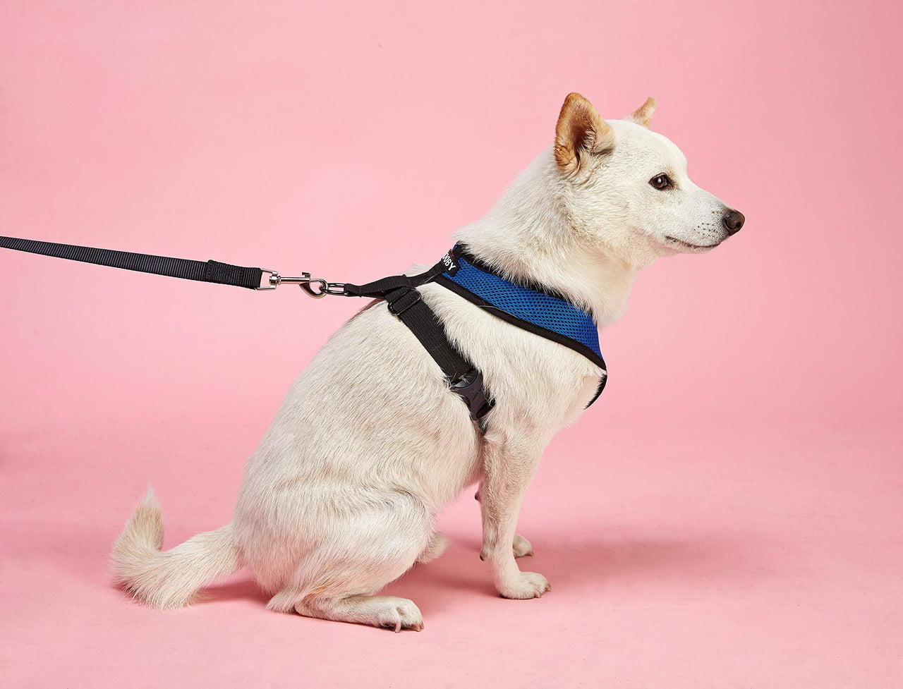 Gooby Comfort X Head In Harness - Green, Large - No Pull Small Dog Harness, Patented Choke-Free X Frame - Perfect on the Go Dog Harness for Medium Dogs No Pull or Small Dogs for Indoor and Outdoor Use Large Chest (17-22.5")