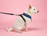 Gooby Comfort X Head In Harness - Green, Large - No Pull Small Dog Harness, Patented Choke-Free X Frame - Perfect on the Go Dog Harness for Medium Dogs No Pull or Small Dogs for Indoor and Outdoor Use Large Chest (17-22.5