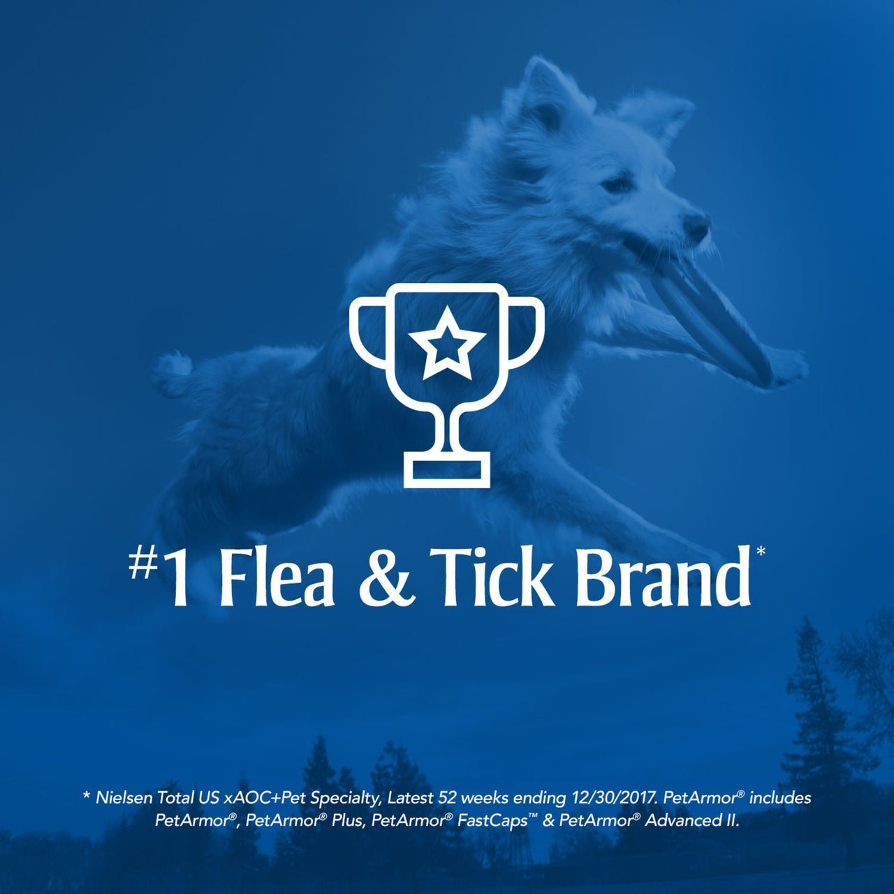 PetArmor for Dogs, Flea and Tick Treatment for Medium Dogs (23-44 Pounds), Includes 3 Month Supply of Topical Flea Treatments 3 Count 22-44 lbs