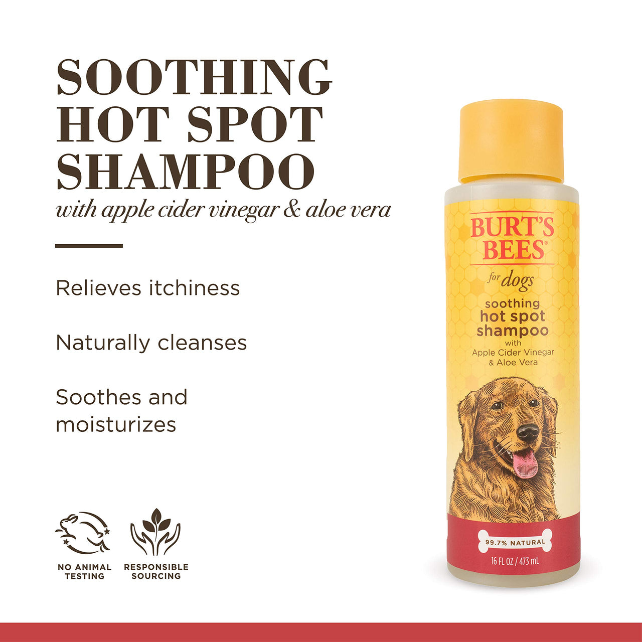 Burt's  Bees for Pets Natural Hot Spot Shampoo with Apple Cider Vinegar & Aloe Vera | Soothing & Relieving Hot Spot Remedy for Dog | Cruelty Free, Sulfate & Paraben Free, pH Balanced for Dogs | 16 Oz 16 Fl Oz (Pack of 1)