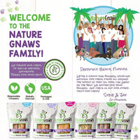 Nature Gnaws Beef Jerky Sticks for Dogs - Single Ingredient Beef Gullet Chew Treats - Simple Natural Delicious Dog Chews - Training Reward - 5-6 Inch 1 Count (Pack of 1)