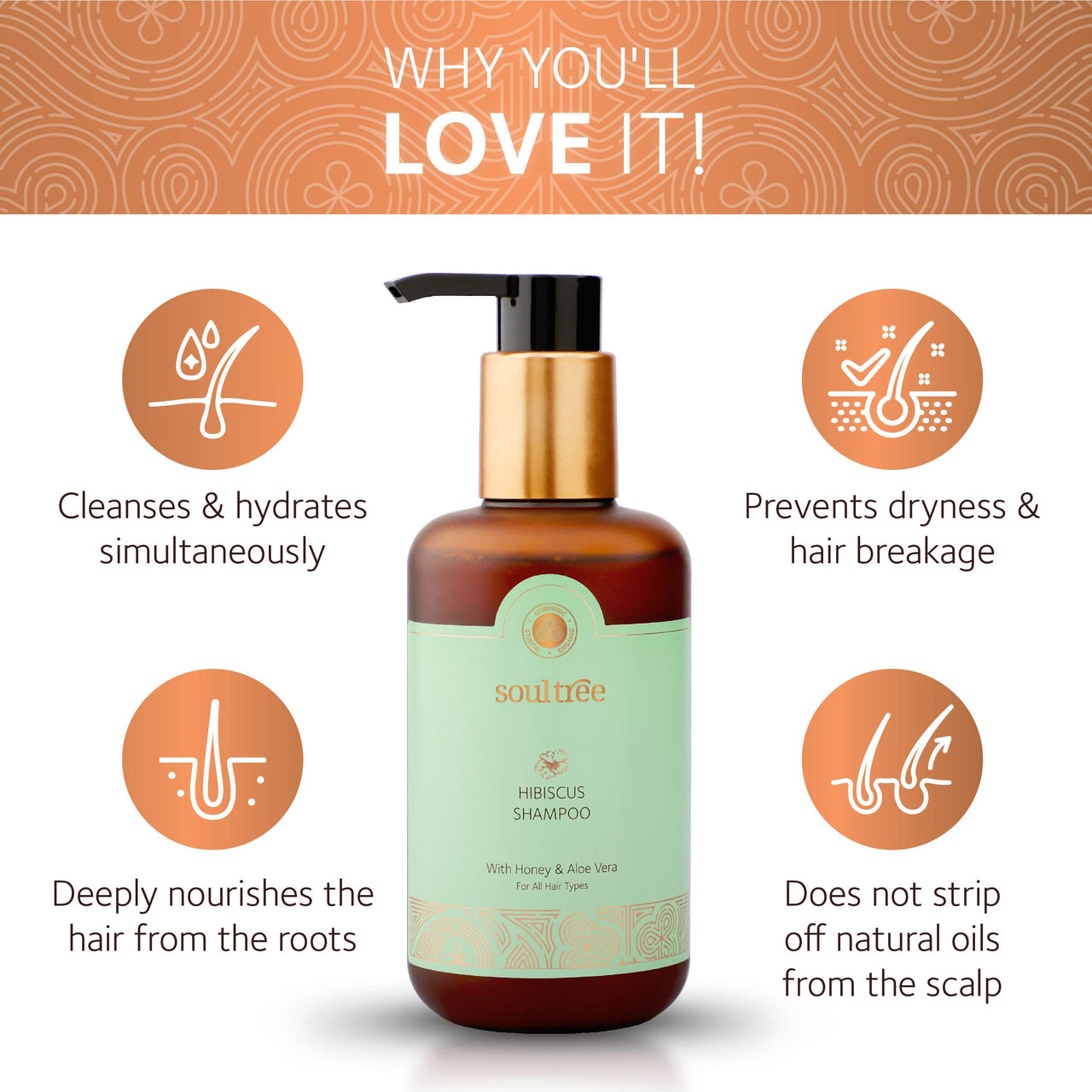 SoulTree Hibiscus Shampoo with Honey & Aloe Vera - Prevents Dryness & Hair Breakage, Cleanses & Hydrates at the same time, SLS/SLES Free - All Hair Types, 250 ml