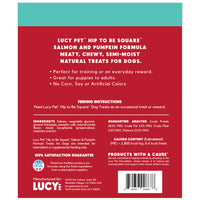 Lucy Pet Hip To Be Square Salmon And Pumpkin Dog Treats 6Oz 6 Ounce (Pack of 1)