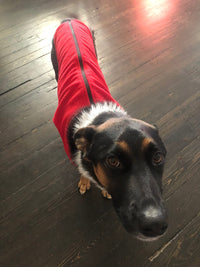 Gooby Zip Up Fleece Dog Sweater - Red, 2X-Large - Warm Pullover Fleece Step-in Dog Jacket with Dual D Ring Leash - Winter Small Dog Sweater - Dog Clothes for Small Dogs Boy and Medium Dogs