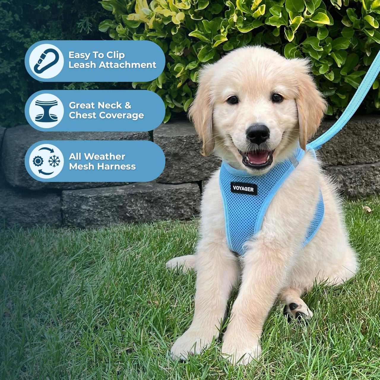 Voyager Step-in Air Dog Harness - All Weather Mesh Step in Vest Harness for Small and Medium Dogs and Cats by Best Pet Supplies - Harness (Baby Blue), M (Chest: 16-18") Harness (Baby Blue) M (Chest: 16 - 18")