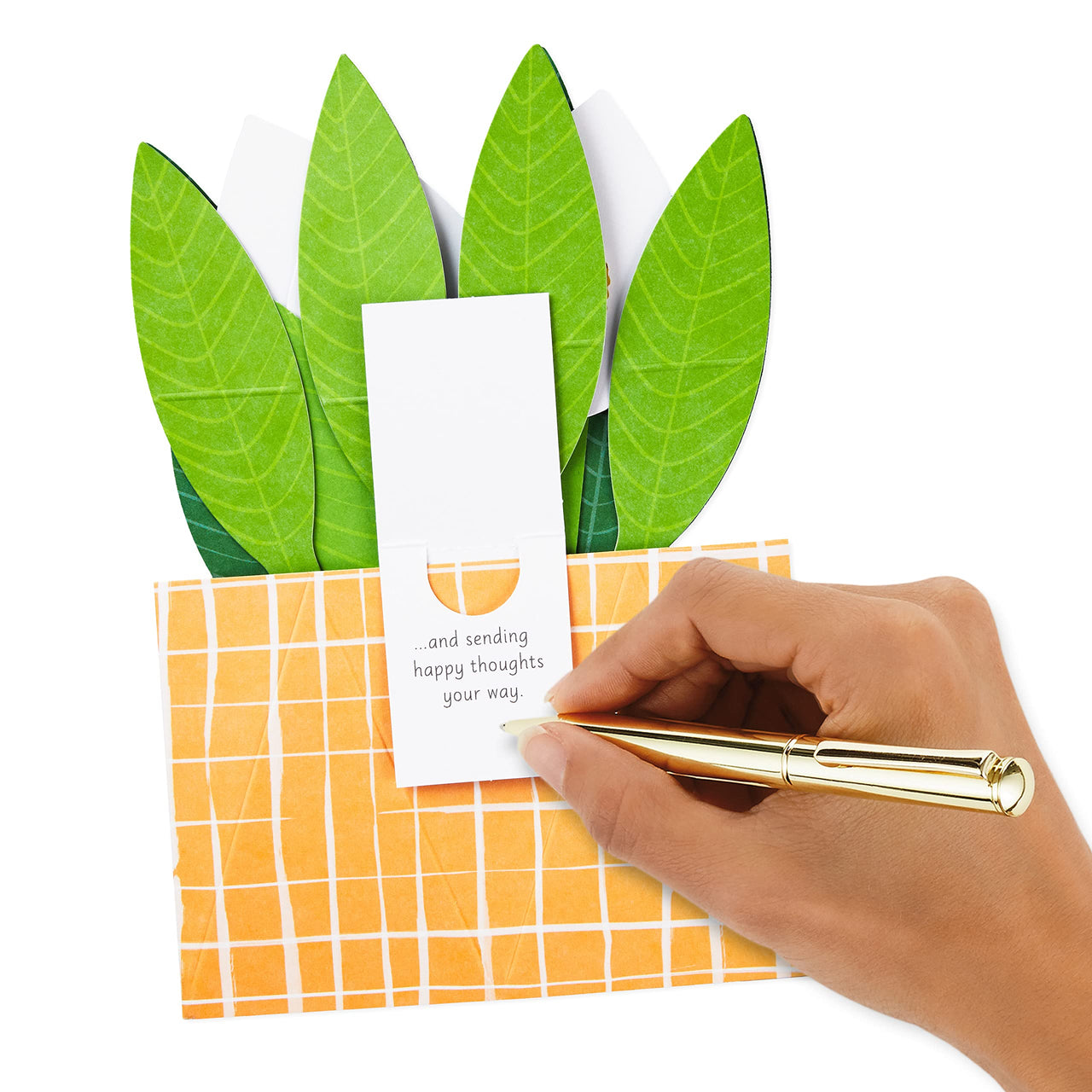 Hallmark Paper Wonder Pop Up Card (Potted Peace Lily) for Mother's  Day, Birthday, Administrative Professionals Day, Nurses Day, Thinking of You, Congrats, Get Well, or Any Occasion