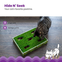 Catstages Grass Patch Hunting Box Cat Toy