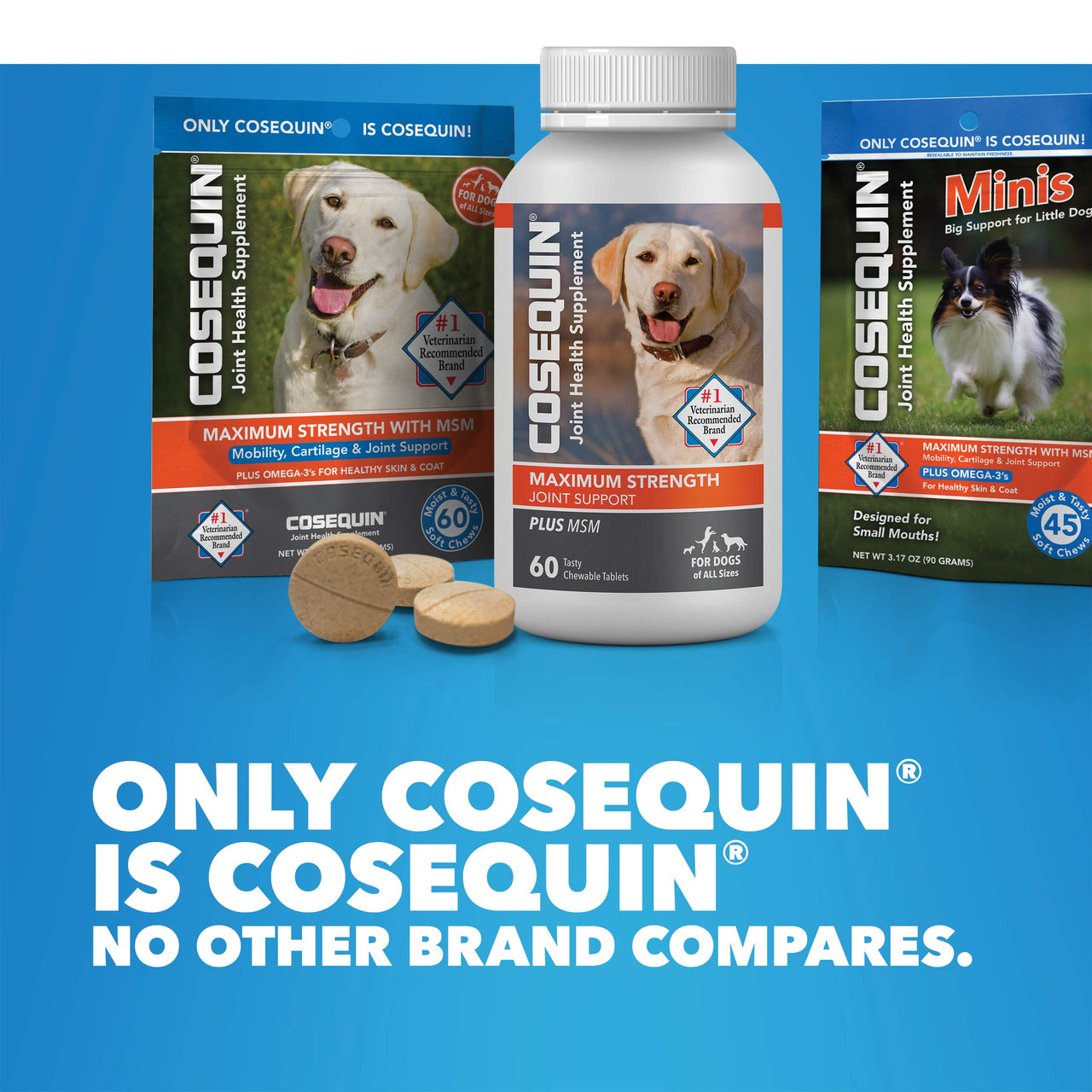 Cosequin Joint Health Supplement for Dogs - With Glucosamine, Chondroitin, MSM, and Omega-3's , 120 Soft Chews