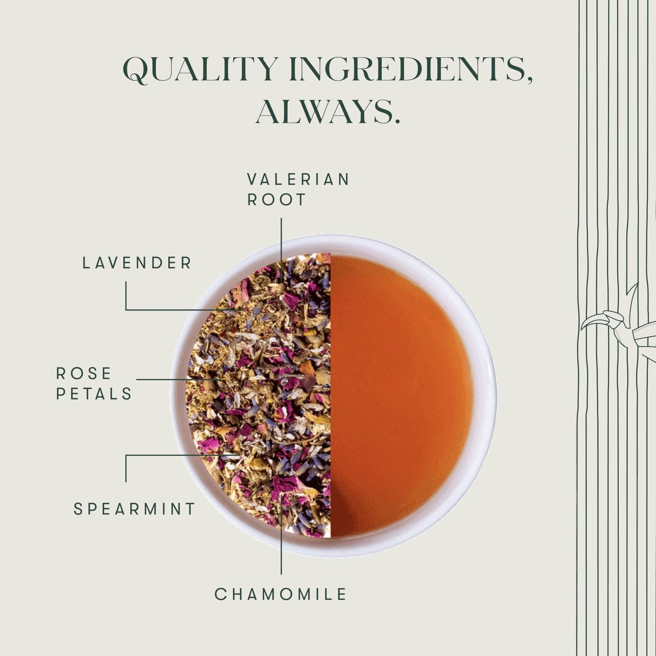 LUXMI Estates Sleep Tea With Valerian Root 50 gram Tin Pack, With Chamomile, Lavender & Valerian Root | Caffeine Free Tea Bags For Insomnia Anxiety & Stress Relief, Relaxation, Restful and Peaceful Sleep With Wellness Herbal Tea, 25 Cups