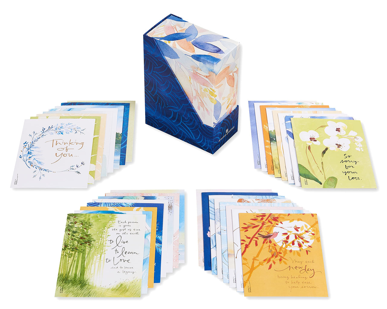 American Greetings Deluxe Boxed Sympathy, Thinking of You, and Blank Cards with Envelopes, Kathy Davis Designs (32-Count)