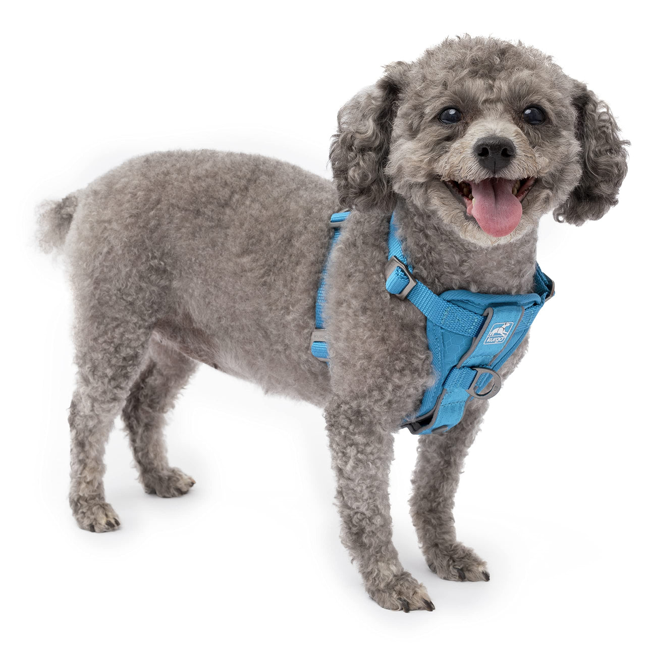 Kurgo Dog Harness | Pet Walking Harness | No Pull Harness Front Clip Feature for Training Included | Car Seat Belt | Tru-Fit Quick Release Style | Small | Blue