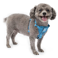 Kurgo Dog Harness | Pet Walking Harness | No Pull Harness Front Clip Feature for Training Included | Car Seat Belt | Tru-Fit Quick Release Style | Small | Blue