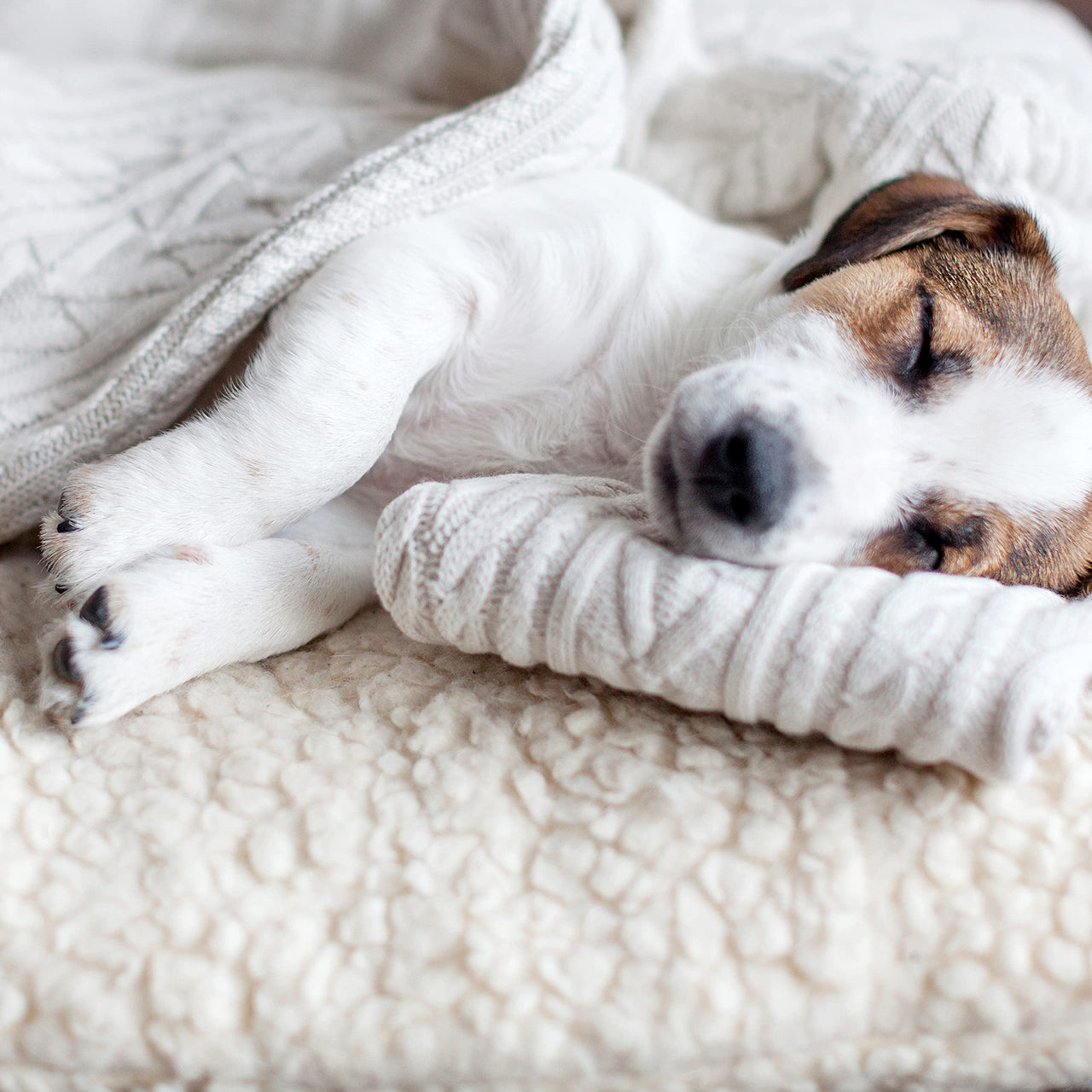 PETMAKER Dog Bed Replacement Cover ? Pet Duvet with Sherpa Top and Non-Slip Bottom, Gray Micro Suede -Dog Bed Washable Removable Cover (Small) 23.0"L x 8.0"W x 0.3"Th