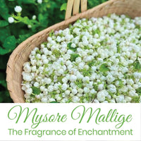 Raissa Bath Soap, 125g (Pack of 6) Nawabi Gulaab, Lavender Love and Mysore Mallige | Alcohol-Free Fragrance | No Harsh Chemicals -Jasmine, Rose and Lavender Fragrances