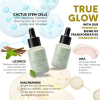 Nature's Kinn Pure Radiance Lightening & Brightening Serum 30 ml | Enhanced with Licorice, Niacinamide, Cactus Stem Cells, and AHA | Free of Alcohol, Sulphates, Parabens, and Phthalates | Hydrating, Skin-Brightening Serum
